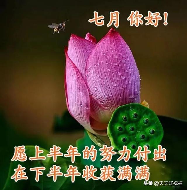 七开头的成语祝福，七字开头的成语祝福语（开心就对；健康长寿）