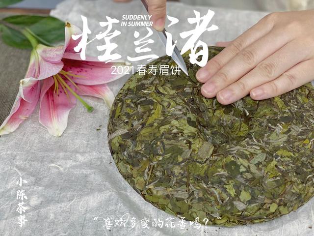 茶饼怎么防潮保存，经常撬来喝的白茶饼