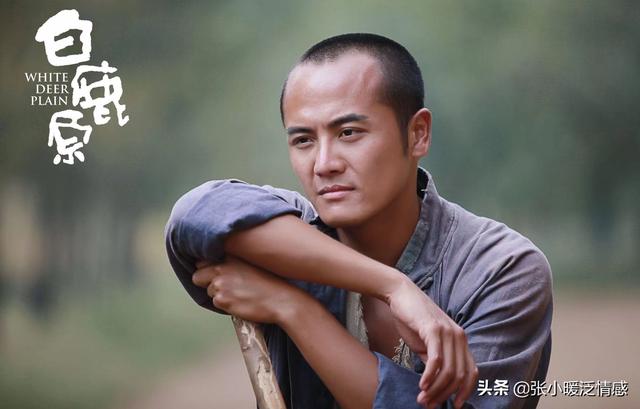 白鹿原电视剧剧情介绍，电视剧白鹿原剧情介绍（40岁鹿子霖强行占有20岁田小娥）