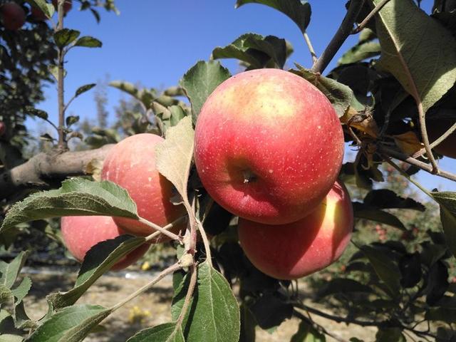 平面方程怎么求，曲线的法平面方程怎么求（<y-2>^2=1绕x轴旋转一周的体积）