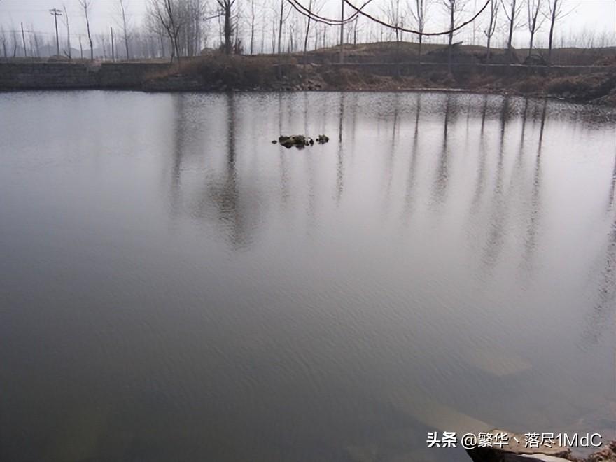 徐州市铜山区()