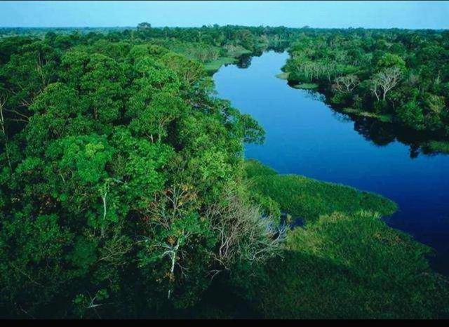 世界上最长的河流，世界上最长的河流叫什么名字（世界上最长的五大河流盘点）