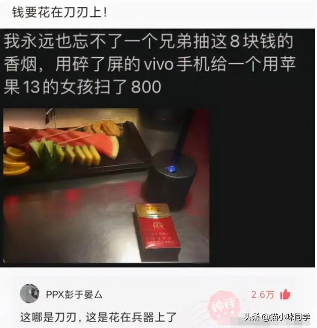 壁虎能长多大，为什么家里有壁虎一定要打死（“以为买了个壁虎）