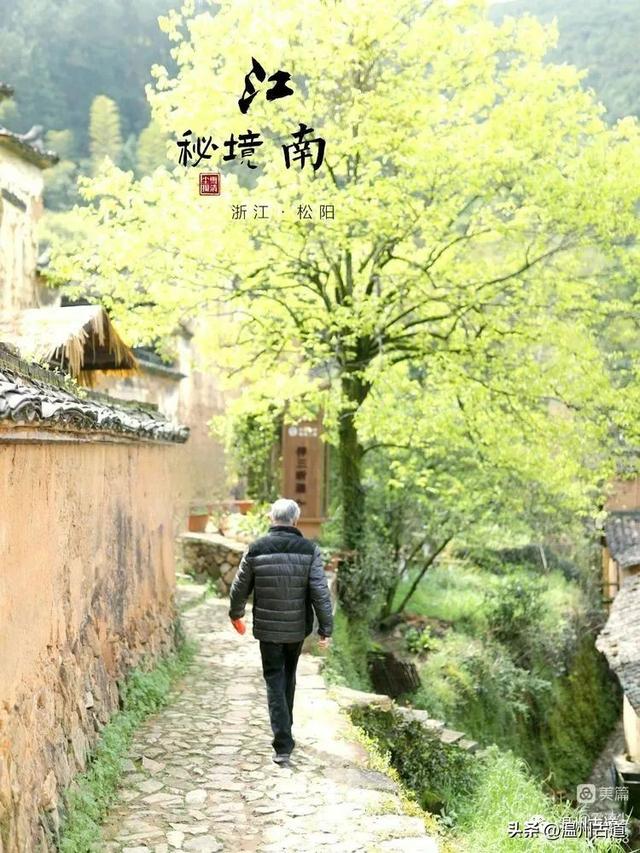 松阳县旅游景点，古韵松阳——江南最后的秘境