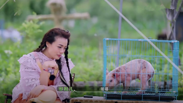 向往的生活什么时候更新，向往的生活周几几点播（我要吹爆芒果这档实验生活综艺）