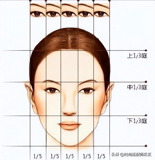 脸的部位名称图解，脸部部位名称（全占的女人长相都很高级）