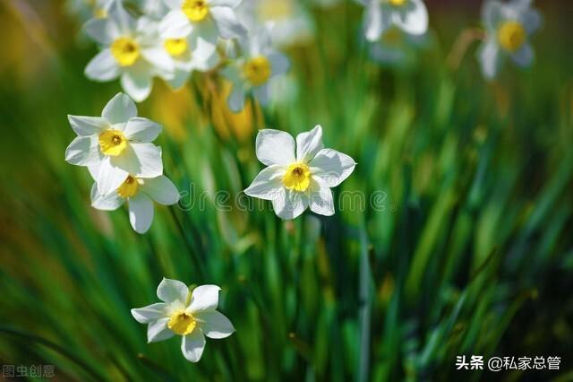 感恩帮助过我的人，感恩帮助过我的人句子（感恩于那些在人生路上）