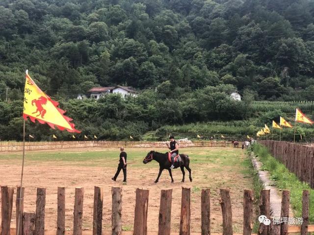 茱萸花怎么画，植物茱萸怎么画（2022佛坪“茱萸花海踏春游”活动即将启幕）