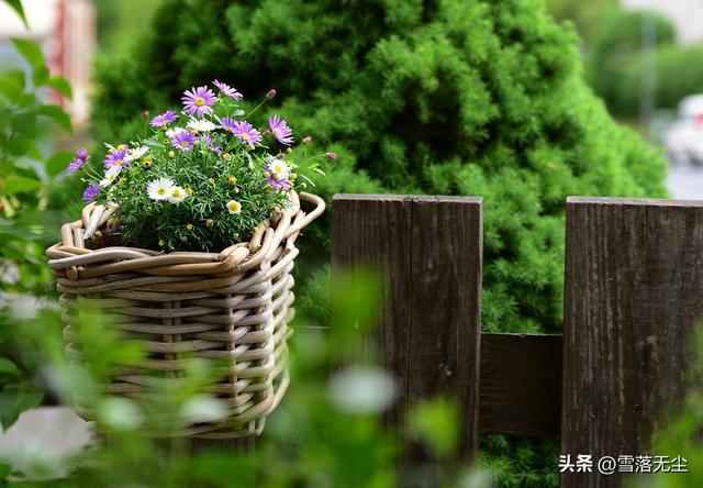 怎么样追女孩子她才会喜欢，要怎么样追女孩子她才会喜欢（还要有4种“硬实力”）