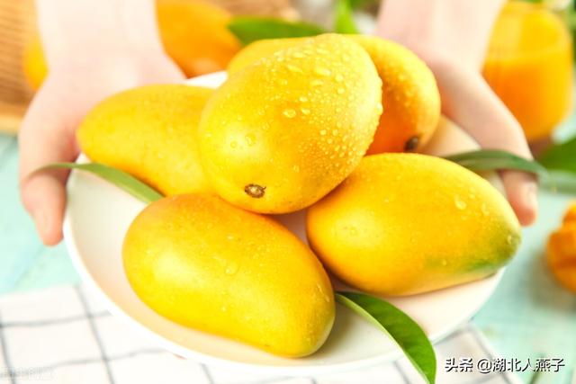 端午节吃啥，端午节吃什么（还要吃3菜2肉2果）
