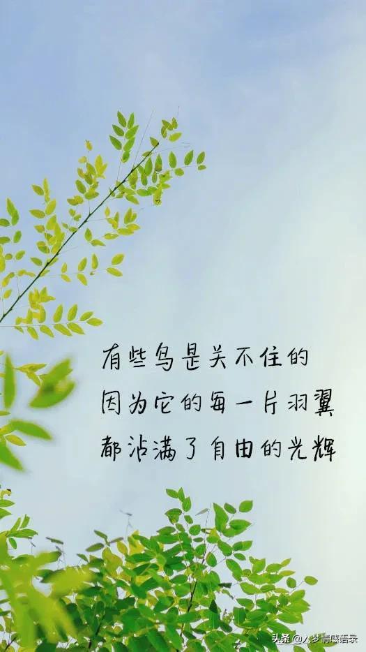 形容笑容的句子，形容治愈系笑容的短句子（是不过时的美丽～～美文摘抄赏析）