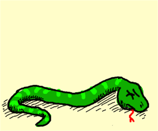 这可能与人类祖先无法分辨蛇是否有毒性,同时又看到许多同伴被毒蛇咬