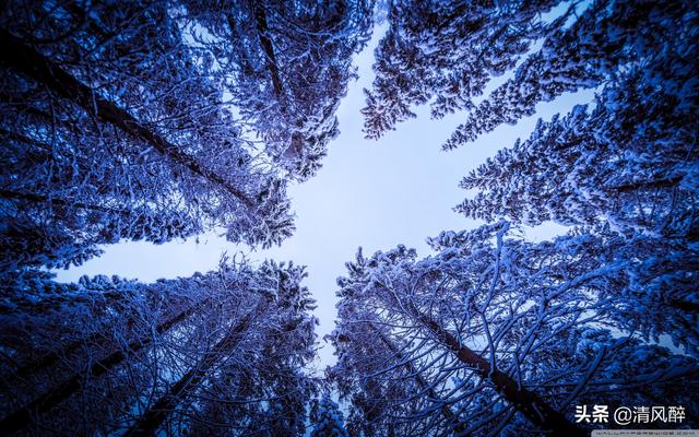 极度抑郁的句子，极度抑郁绝望的句子（心情有点糟糕情绪有点上头说说）