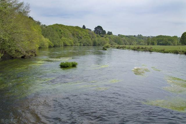 青苔怎么快速清除，青苔怎么去除（鱼缸的青苔怎么去除）