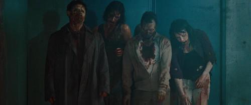 有什么好看的恐怖片，好看的美国恐怖电影推荐经典（你不容错过的6部高分恐怖电影）