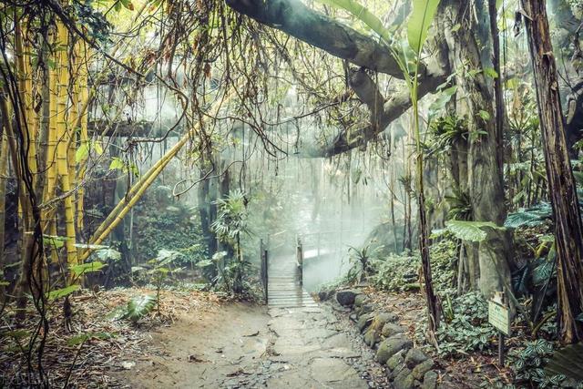 深圳有哪些景点，深圳八大景点（深圳八大最好玩的景点）