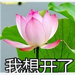 微信头像｜精选朋友圈优质头像，精选优质微信头像大全（头像 ， 朋友圈里最靓的头像）