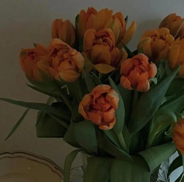 回农村老家的心情说说，回农村老家的说说发朋友圈（晒农村老家照片时发的文案句子）