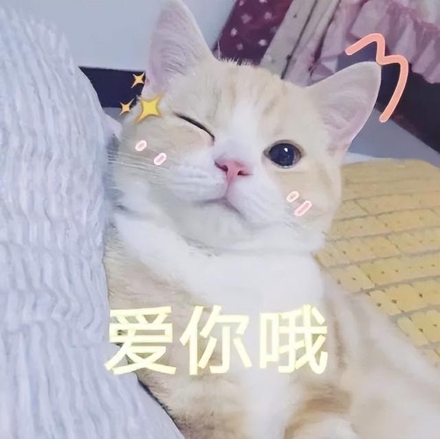 二硫化钾的梗，女生说想吃二硫碘化钾是什么意思（—“二硫碘化钾”、“氮碘硫氢碘硫硼”是什么梗）