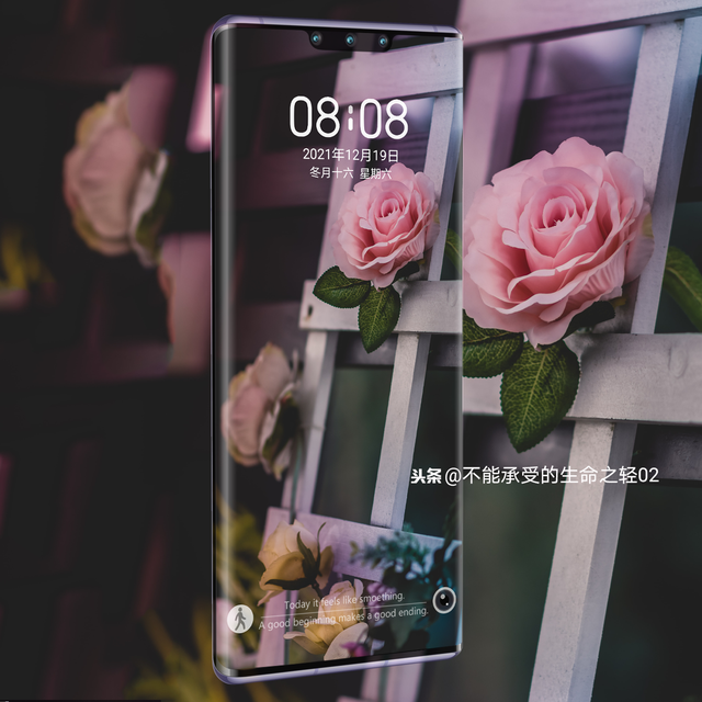 风景静物背景图|谢谢光临.，静物背景图片（花卉摄影壁纸图文解说）