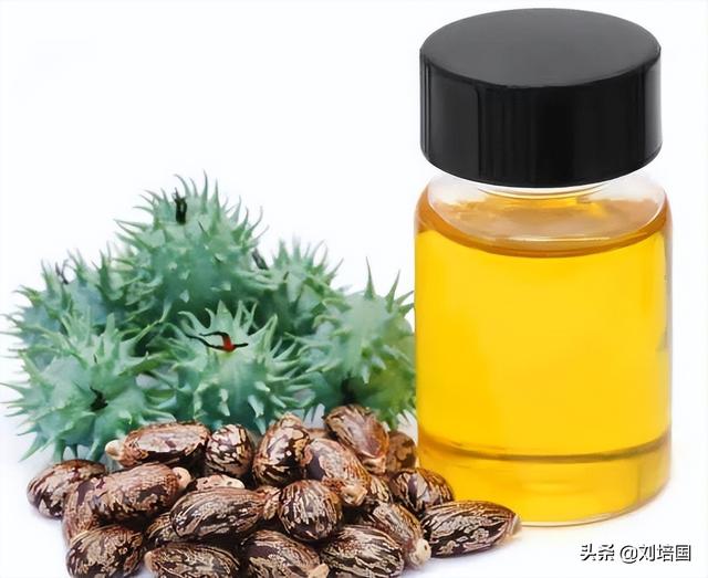 真正的朱砂多少钱一克，真正的朱砂怎么分辨真假（玩印泥的人）