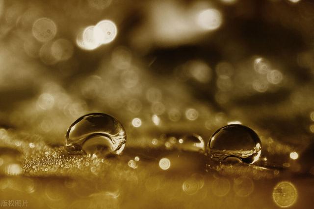 如何去掉身上的湿气，身上湿气怎么去除（排出体内一身的湿气）