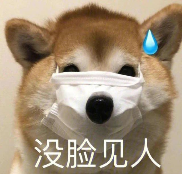 最伤感的网名，伤感的网名女生用的（看起来就有病的网名丨搞笑欠揍）