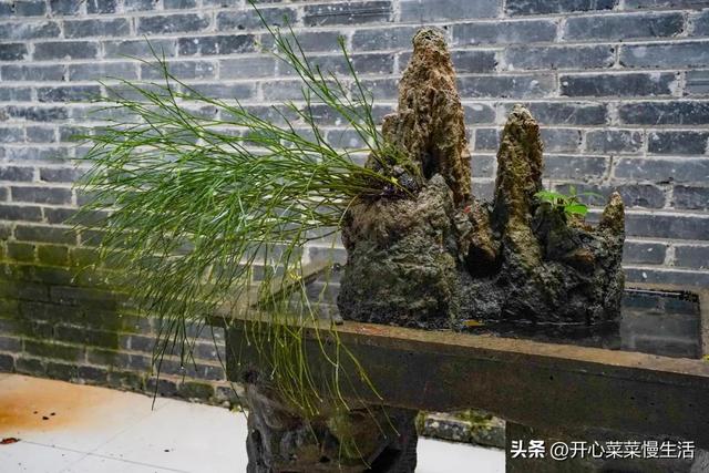 广西贵港旅游攻略，盘点20个值得一去的好地方