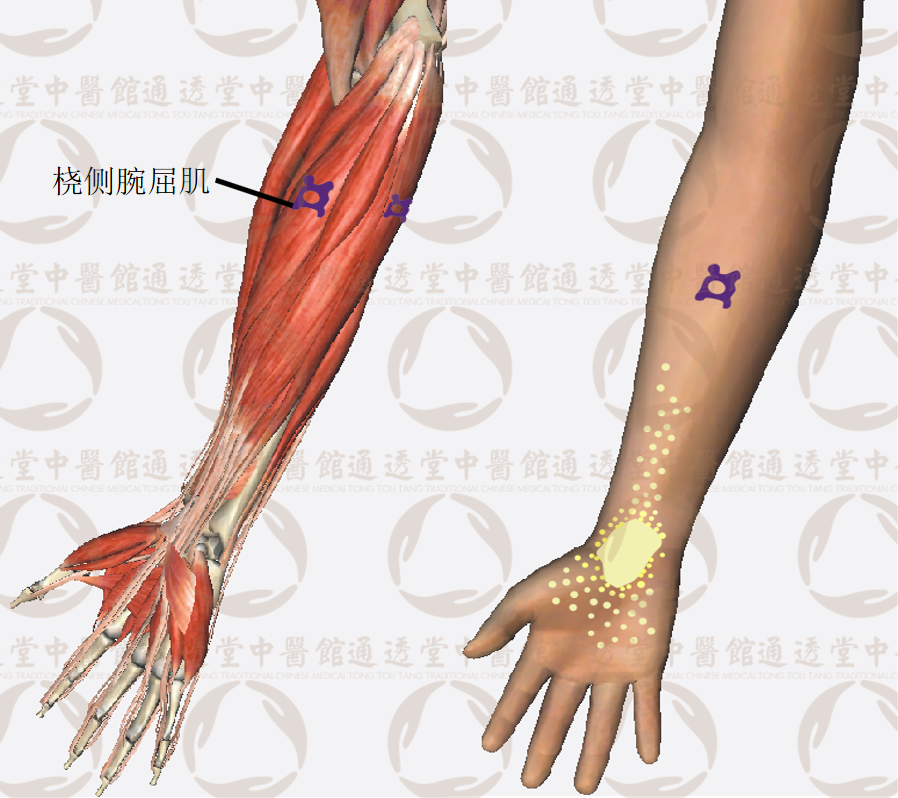 耳朵里面疼的原因，耳朵里面痛是怎么回事（“痛点”——所有疼痛的来源）