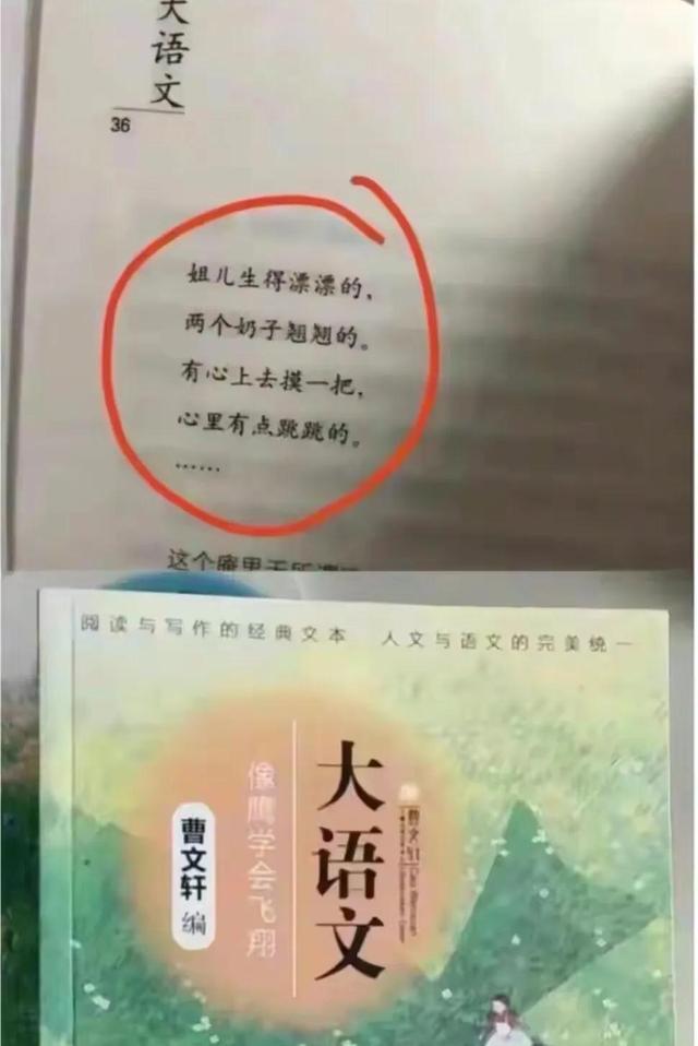 草房子读后感500字，草房子读后感500字六年级作文（吴是“米饭”曹是“火腿”）
