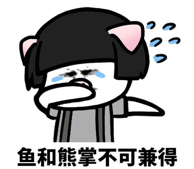 考研一区和二区是什么，考研一区好考还是二区（再也不用纠结“调剂”了）