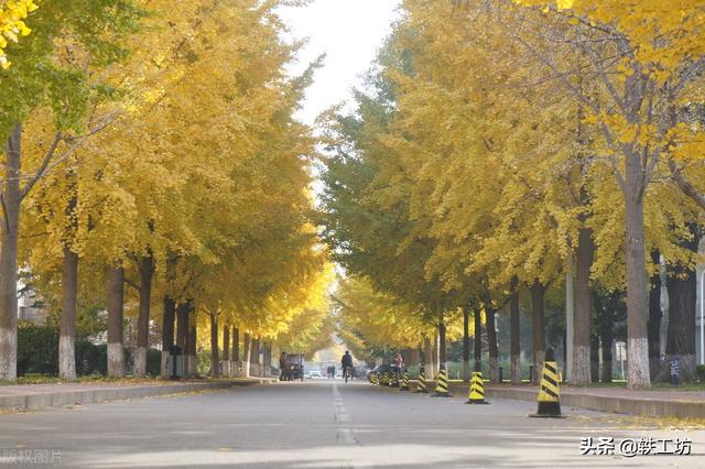 中国社会科学院大学，中国社会科学院大学排名（每年仅招数百名本科生的3所大学）