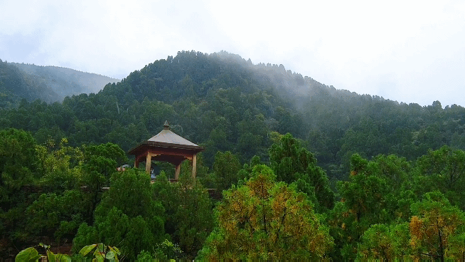 厦门龙洞风景区，厦门龙洞风景区门票多少（厦门龙洞：罕见的峡谷地貌）