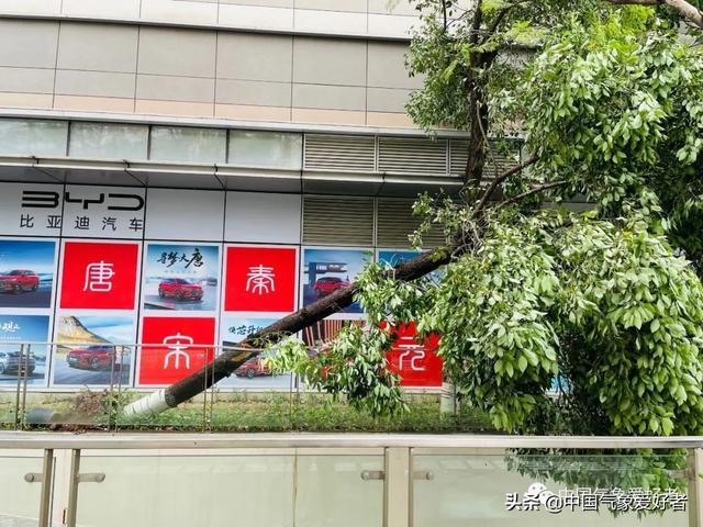 今年1号台风马勒卡什么时候生成 一号台风路径实时发布系统最新消息，今年1号台风马勒卡什么时候生成（马勒卡吸干鲇鱼，或成超强台风）