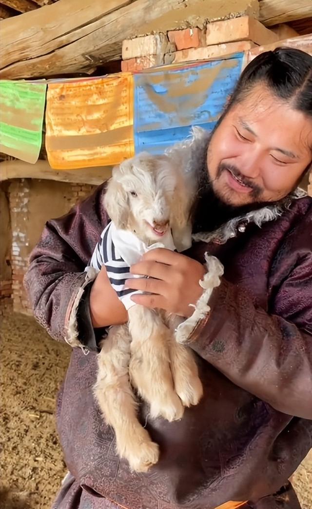 彪悍的蒙古汉子，蒙古人、维京人、萨摩亚人——哪个最强悍（202公里配送费584元）