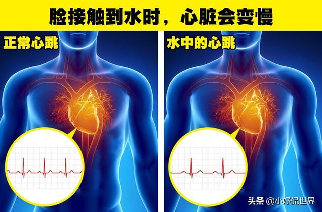 生物的冷知识，生物冷知识及其原因（你可能没有在生物课上学过的9个有趣事实）