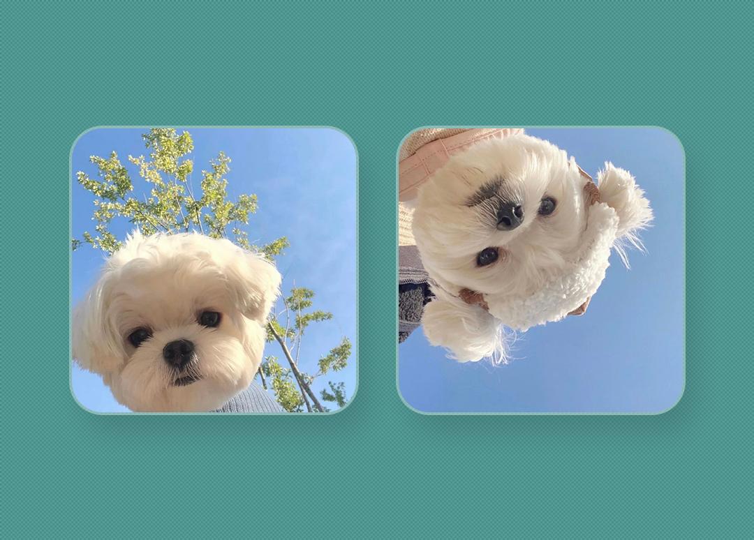 帛逸/情头/有缘。,微信头像,帛逸/情头/有缘。(甜甜情头分享) 帛逸/情头/有缘。,微信头像,帛逸/情头/有缘。(甜甜情头分享)