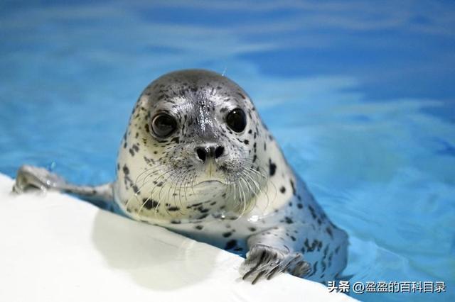 哈尔滨有啥好玩的，哈尔滨好玩的地方有哪些（这里有一份关于哈尔滨旅游的详细攻略）