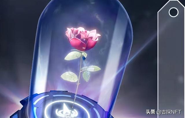 表情包丨可爱的肥肥鲨，微信头像，表情包丨可爱的肥肥鲨（七夕快乐/无极熊猫/肥肥鲨/阿迪达斯）