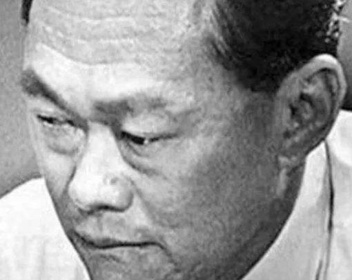 马来西亚和新加坡，马来西亚和新加坡有什么关系（新加坡被迫从马来西亚独立）