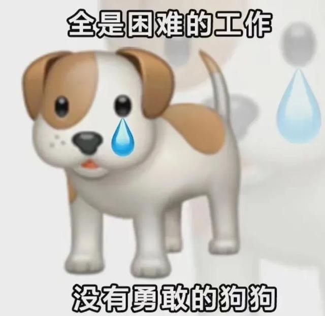 穷穷穷表情包，微信头像，穷穷穷表情包（敷衍的配文）/林芙/（不仅有点傻傻的还很可爱无水印版）