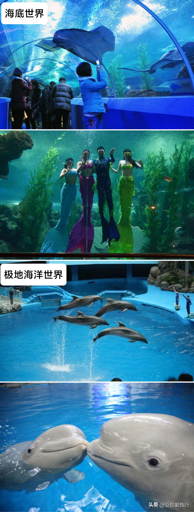 青岛极地海洋世界门票，青岛极地海洋世界门票免费预约吗（北纬36度的“童话之岛”）