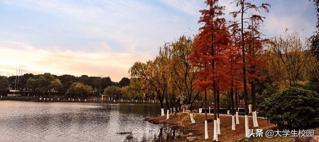 湖南理工学院排名，湖南理工类大学排名（2022年湖南省大学排名一览表）