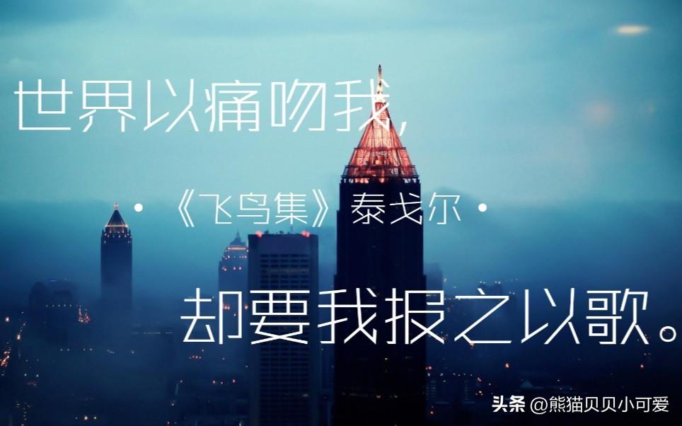 彼此信任的作文，彼此信任作文600字（致新年：2023）
