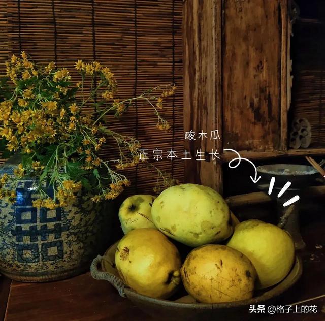 木瓜为什么是苦的，其实它才是真正的本土木瓜