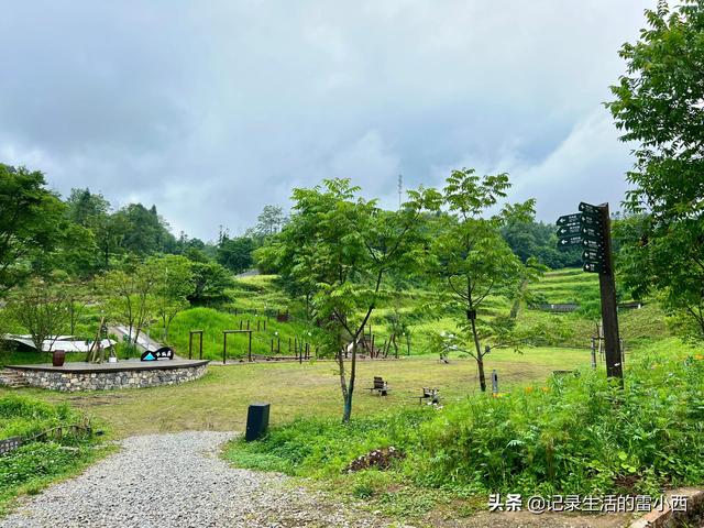 仙女山旅游攻略，重庆旅游景点 仙女山（推荐你去这个免费地方玩）