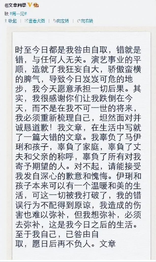 文章主演的电视剧，文章主演的电视剧大全集（人生差距一个天一个地）