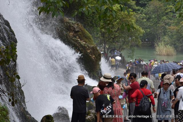 黔南布依族苗族州，娃娃鱼图片大全大图