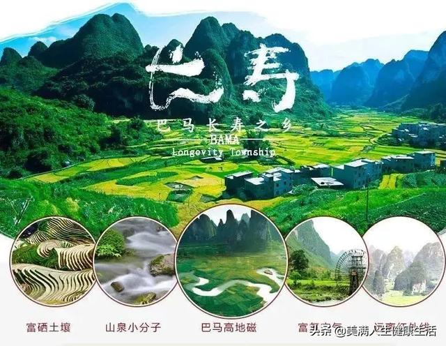 火麻油怎么吃，长寿之乡的饮食密码（什么是麻油）