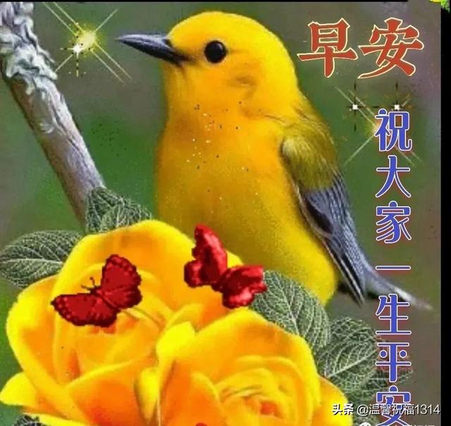 每天早上祝福语，早晨最好的祝福语（亲人朋友早安免打字图片带祝福语）